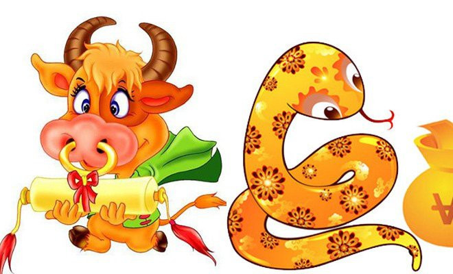 Chính sự chăm chỉ, dịu dàng và hiền hậu của Sửu khiến Tỵ bị hấp dẫn tuyệt đối. Sự nóng nảy và hay ghen khi yêu của tuổi Tỵ dường như chẳng có cơ hội phát sinh khi gặp tuổi Sửu chân thật, chung thủy, nhẹ nhàng và đặc biệt chẳng bao giờ muốn kiểm soát người khác. Chính vì thế, Tỵ - Sửu mà ở bên nhau thì hôn nhân hạnh phúc, ít khi cãi vã, vợ chồng chỉ lo làm ăn, chẳng mấy mà sẽ giàu có, sung túc.