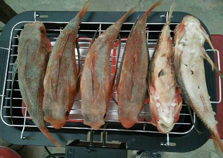 Hiện cá tắc kè trở thành món ăn đặc sản của nhiều địa phương như: Quảng Ngãi, Ninh Thuận, Nha Trang,...
