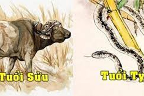 Những người mẹ tuổi Sửu luôn làm tấm gương sáng cho con cái của mình bởi họ luôn là con giáp tuân thủ theo nguyên tắc chẳng mấy khi làm những điều sai trái.
