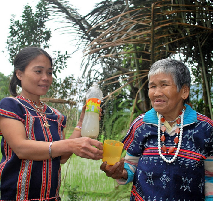 Bên cạnh đó, khoảng cách từ cây đến bờ suối cũng là một trong những yếu tố quyết định độ ngon của rượu.