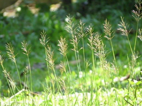 Không chỉ được quý nhân phù trợ mà tiền bạc còn vượng phát, nhanh chóng thăng tiến vượt bậc, làm ăn phát đạt. Những người càng làm kinh doanh lại càng được Thần Tài che chở, hanh thông suôn sẻ hái ra tiền.