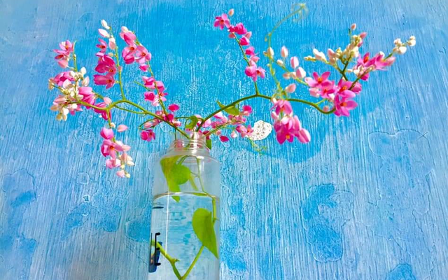 Họ là những người đạt được nhiều điều lớn lao, được sự phù trợ của vận khí nên số mệnh đạt được một cuộc sống rực rỡ, hưởng cuộc sống giàu sang. * Thông tin mang tính chất tham khảo.