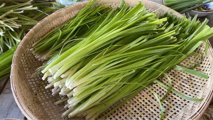 Hẹ nước thường được bán với mức giá dao động từ 20.000 đến 30.000 đồng/kg. Công việc nhổ hẹ nước cũng giúp mang đến thu nhập cho người lao động với chi phí 6.000 đồng/kg hẹ được nhổ.