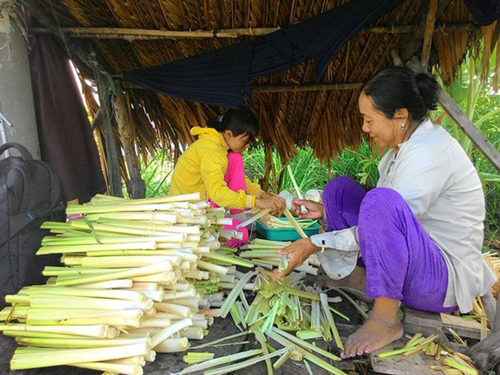 Vì nó mang lại giá trị kinh tế và được nhiều người tìm mua vì lạ miệng, nhiều hộ dân ở Cà Mau đã chuyển đổi từ nuôi tôm sang trồng bồn bồn, thu nhập khấm khá.