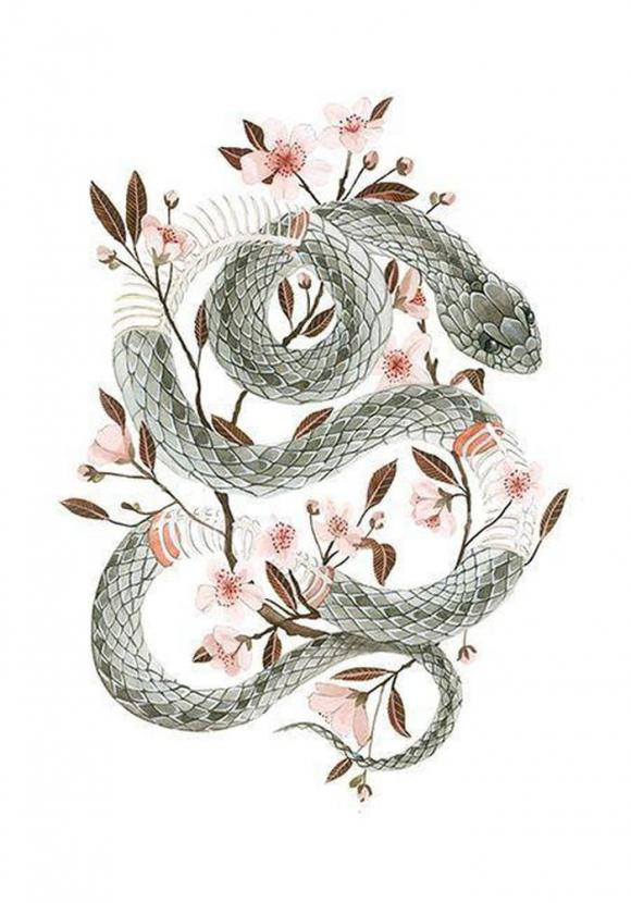 Tuổi Tỵ. Người tuổi Tỵ khá thông minh và tài giỏi. Trong mắt người khác, tuổi Tỵ khá lạnh lùng nhưng bên trong lại sống tình cảm.