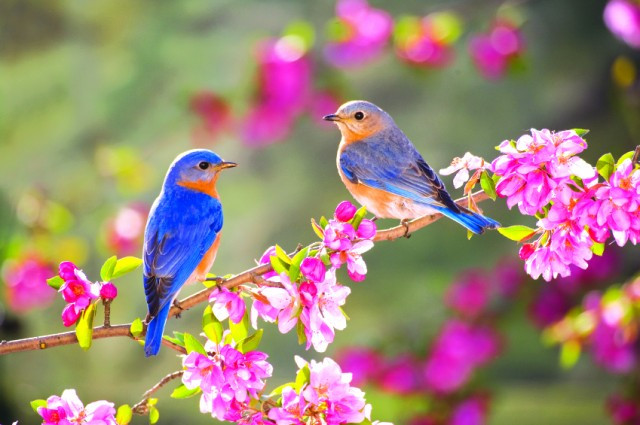 Như vậy, họ sẽ biết cách tập trung nguồn lực để đạt được mục tiêu đã định. Thất bại không chỉ đem lại nỗi buồn mà còn cho họ nhiều bài học quý giá. Chỉ sau đau khổ, vất vả, họ mới khám phá được năng lực tiềm ẩn của bản thân và từ đây tránh được sai lầm. Sau cơn mưa trời lại sáng là vậy.