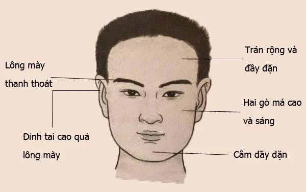 Đàn ông có khuôn mặt vuông vức, đầy đặn. Một người đàn ông có khuôn mặt vuông vức, tướng cằm đầy đặn thường sở hữu nhiều tài sản ruộng đất. Nhưng người này có ý chí kiên cường, nhiều tiền tài, ý chí, đồng thời cũng cho biết vận mệnh cuối đời của người đó.