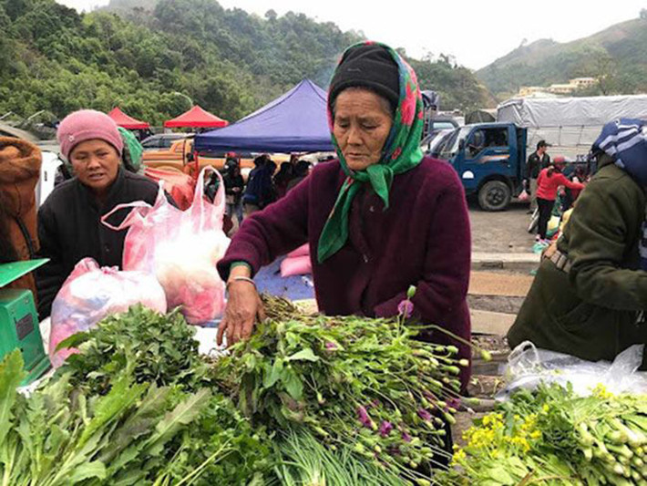 Lỗ bình từng được đưa vào hạng mục cần bảo tồn của Tây Nguyên, nhằm mục đích thoát khỏi nguy cơ tuyệt chủng.