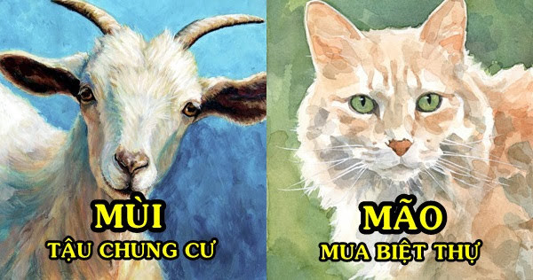 Như vậy, dù có vẻ ngoài khác nhau, nhưng bản chất của Mão và Mùi đều là những con giáp có chung nhân sinh: Đó là suy nghĩ tích cực, lạc quan, không thích đầu hàng số phận, suy nghĩ cẩn trọng trước khi đưa ra quyết định.