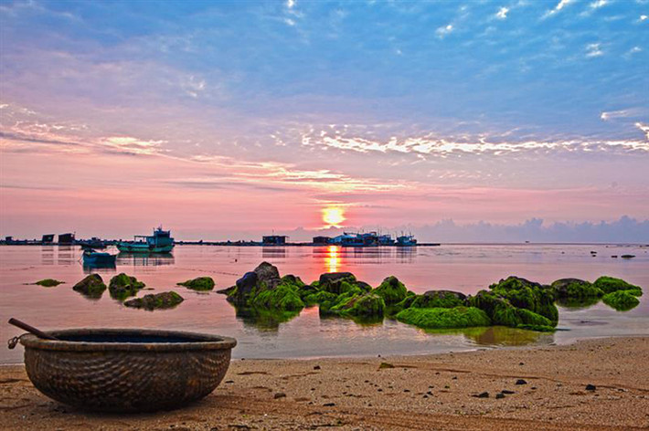 Ở Việt Nam, cua mặt trăng thường xuất hiện theo mùa gió nam tại vùng biển đảo Phú Quý (Bình Thuận)
