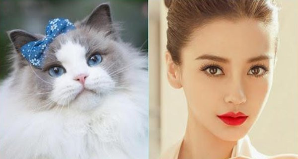Tuổi Mão. Người tuổi Mão được biết đến với tính cách hiền lành, giản dị và tốt bụng. Nhưng điều đó chưa đủ, người tuổi Mão rất siêng năng, chăm chỉ và có trách nhiệm trong công việc.