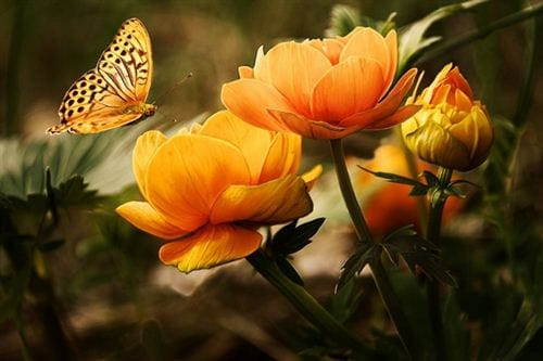 Chỉ cần người sinh ngày Âm lịch này vượt qua thời điểm khó khăn của nửa đầu năm, họ sẽ có thêm nghị lực, năng động hơn và có được những tiến triển mỹ mãn trong công việc.
