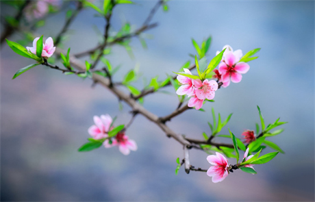 Đối với những người sinh vào tháng Âm lịch này, nhờ có nghiêm túc và kiên trì nên họ nhất định sẽ gặt hái được thành công trên mọi nẻo đường cuộc sống, có tương lai tươi sáng.