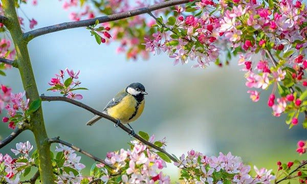 Chính điều này giúp người sinh tháng Âm lịch này có sự kiên trì, nhẫn nại trong công việc, không dễ dàng thay đổi hướng đi sau khi đã xác định rõ mục tiêu. Nhờ đó, họ có thể nhận được sự đồng tình của hầu hết mọi người, đồng lòng cùng họ nỗ lực hướng tới. Vì vậy, cuộc sống của người sinh thời điểm Âm lịch này rất năng động, sôi nổi, không hề nhàm chán.