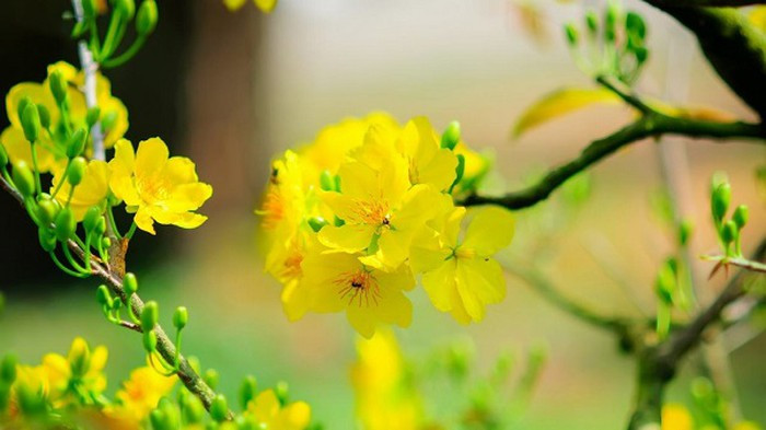 Điều này giúp họ có động lực phấn đấu về lâu dài, càng đi đường càng thênh thang, rộng mở, không lo phải đi đường vòng hay tụt hậu, xuống dốc.