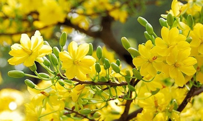 Kiên trì hơn thực tế là con dao hai lưỡi, bởi đôi khi tính cách cố chấp có thể khiến con người ta quá cực đoan. Nhưng nếu bạn quá xuề xòa hoặc không cẩn thận thì tổn thất cuối cùng sẽ rất lớn.
