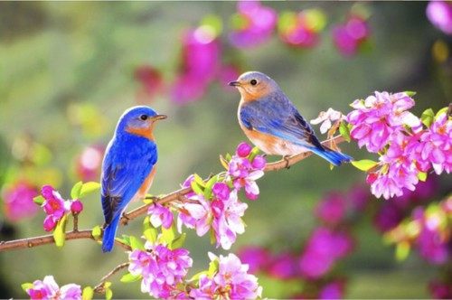 Xem bói ngày tháng sinh Âm lịch để chiêm nghiệm trong cuộc sống là sở thích của nhiều người. Quả thực, bên cạnh con giáp thì ngày tháng sinh Âm lịch ảnh hưởng không nhỏ đến tính cách và cuộc sống của mỗi người.