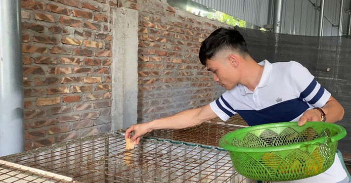 Anh Nguyễn Văn Dũng (chủ trang trại ở thôn Sở Hạ, xã Ninh Sở, huyện Thường Tín) đã mở rộng quy mô nuôi don và thành công như ngày hôm nay