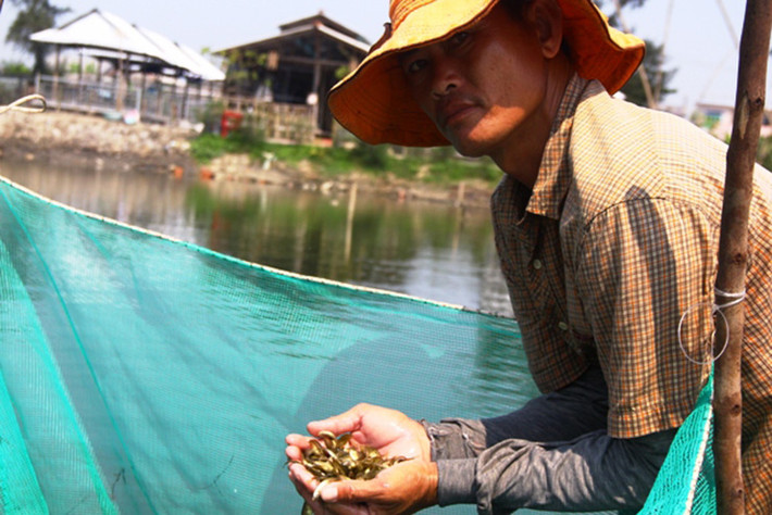Trái này chấm muối ớt hay trộn với muối ớt rất ngon, ngoài ra còn có ngâm rượu uống ngon như rượu nho, rượu sim.