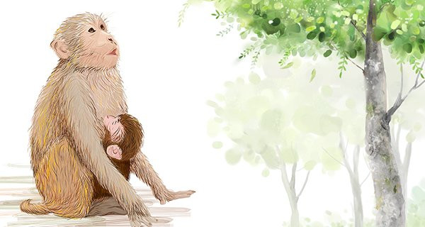 Tuổi Thân. Đây là thời điểm thích hợp cho những người muốn bắt đầu khởi nghiệp hoặc thay đổi công việc.