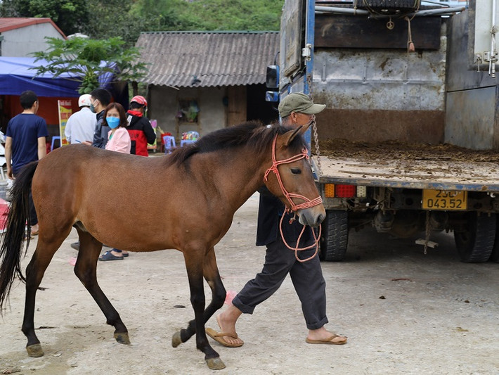 Tất cả góp phần tạo nên khúc hoà tấu đầy thanh sắc của bản nhạc giai điệu vùng cao.