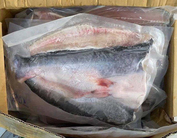 Những rừng cây ngập mặn như rừng bần, rừng mắm, rừng sác,... là nơi trú ngụ lý tưởng của loài cá này.