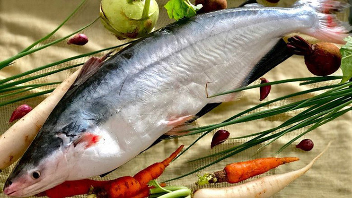 Loài cá này ăn hoa quả tự nhiên nên thịt của chúng thơm ngon, không béo nhiều như cá tra. Thịt cá săn chắc, thơm mùi lá dứa.