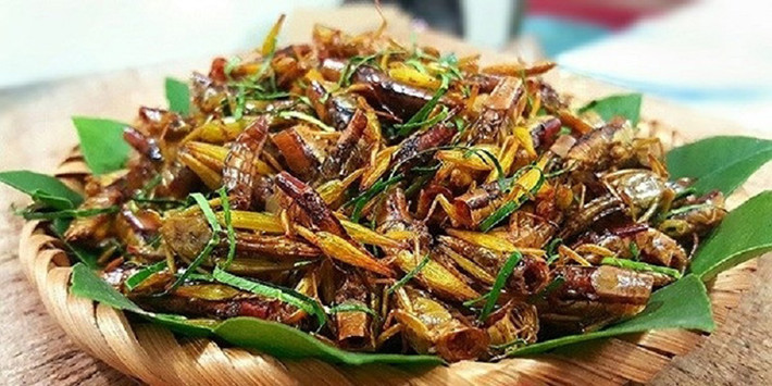 Sau khi bắt về, muỗm được sơ chế qua: Vặt cánh, bẻ chân, ngắt đầu, rút ruột rồi để chế biến món ăn ngon. Thịt muỗm chín thơm và béo ngậy, cái vị béo ngậy ấy dù khó diễn tả nhưng không bao giờ quên được.