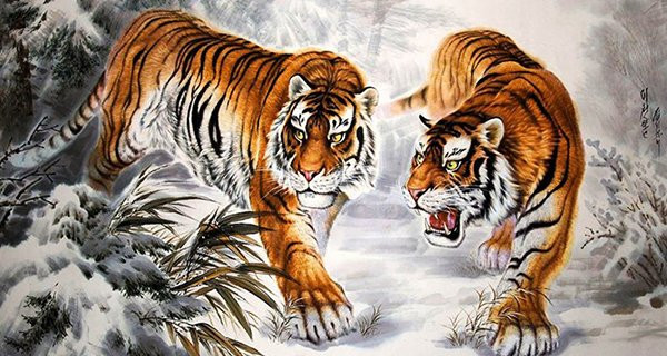 Bước sang 2023, Dần sẽ kiếm được rất nhiều tiền, sự nhanh nhạy của họ là tiền đề giúp họ bội thu tài lộc.