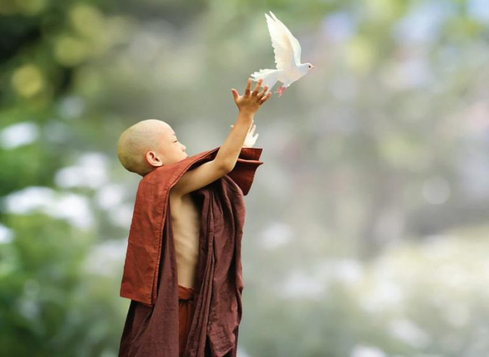 Hãy thử nghĩ xem, nơi nào là không có sinh linh? Chẳng phải là sa mạc sao. Trên sa mạc, thứ gì cũng không có, vậy còn gì là của cải, phúc lộc, vui vẻ, an khang đây?