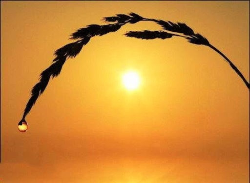 Thứ tư: Đặt mình ở nơi thấp nhất. Biển cả vì ở nơi thấp nhất mà trở thành vua của trăm sông. Chúng ta nếu để bản thân mình ở vị trí thấp nhất, thì trí tuệ, phúc đức của vạn vật cũng đều hội tụ. Chúng ta nói đức dày để nâng đỡ vạn vật, mà muốn nâng đỡ vạn vật phải đặt bản thân mình ở dưới vạn vật, đặt mình ở vị trí thấp nhất.