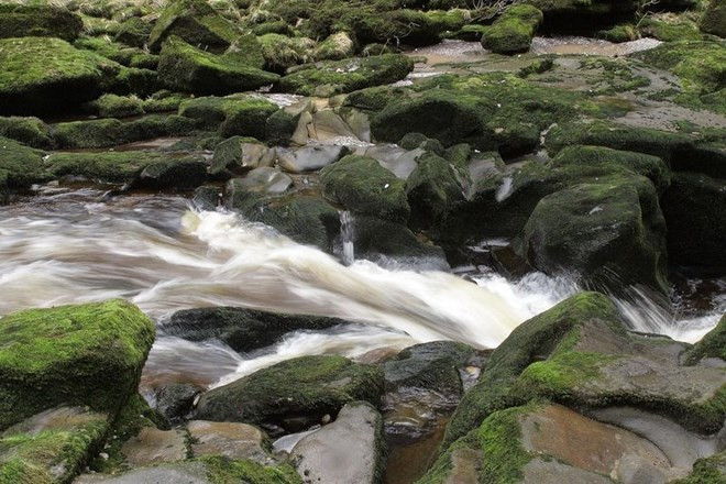 Với chiều dài chưa đến 92 m, dòng suối nhỏ này đổ ra sông rộng 28m. Sông Wharfe chảy qua Yorkshire, đến Bolton Abbey, dòng nước gặp phải khe hẹp khiến vận tốc tăng nhanh và dâng lên cao, tạo nên suối Bolton Strid hung dữ. Hiện không ai biết chính xác dòng suối này có độ sâu bao nhiêu. Ảnh: Shutterstock.
