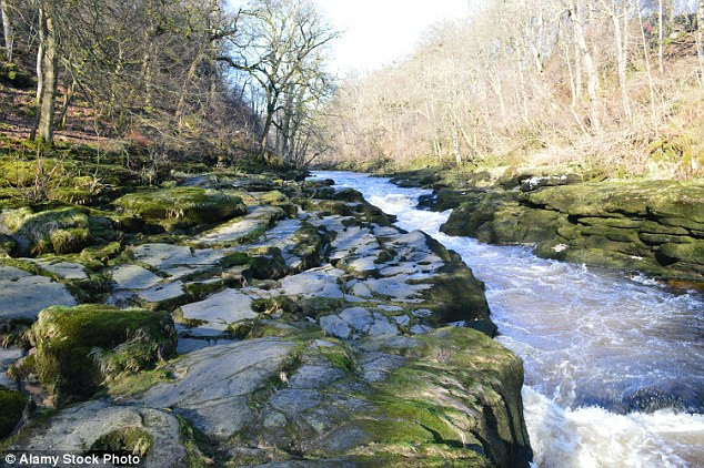 Dòng suối Bolton Strid là một đoạn hẹp của sông Wharfe ở phía bắc nước Anh. Khác với vẻ đẹp thu hút nhiều du khách, đây là một trong những cạm bẫy nguy hiểm nhất của tự nhiên. Ảnh: Daily Mail.