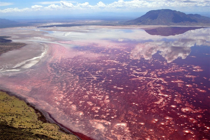 Hồ Natron (Tanzania): Nằm ở Tanzania, hồ Natron được coi là một trong những hồ nguy hiểm nhất thế giới. Bề ngoài hồ nước này có màu đỏ trông như ở trên sao Hỏa và là nơi sinh sống của hàng triệu con hồng hạc. Tuy nhiên, nơi đây nổi tiếng là hồ nước chết chóc nhất hành tinh bởi nồng độ kiềm trong hồ cao hơn bất kỳ nơi nào khác trên thế giới. Các sinh vật rơi xuống hồ sẽ bị hóa đá. Tuy nhiên, một số sinh vật vẫn có thể tồn tại được ở môi trường khắc nghiệt này như tảo, vi khuẩn đặc hữu và đặc biệt là nơi lý tưởng để 2,5 triệu con chim hồng hạc làm tổ trong mùa sinh sản.