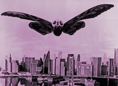 Mothra. Đây là loài côn trùng lớn nhất trên thế giới. Sải cảnh của nó dài tới 249 m. Loài này có thể sẽ nặng tới 25.000 tấn và bay với tốc độ mach 3. Mothra mẹ sẽ chết ngay sau khi con của chúng nở ra từ trứng. Tuy nhiên, đến giờ Mothra chỉ mới được miêu tả trong các tài liệu, chủ yếu là ở Nhật.