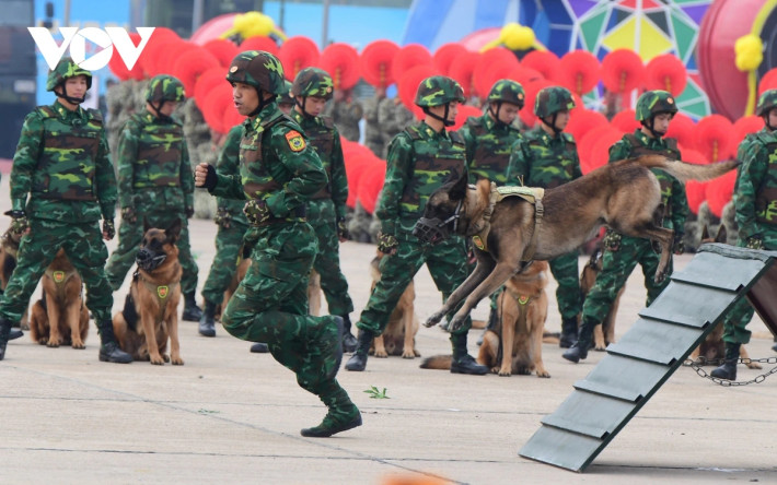 Quân khuyển biên phòng biểu diễn vượt chướng ngại vật, nhảy qua vòng lửa...