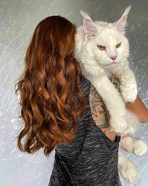 Cô Yulia Minina chia sẻ về thú cưng: “Tôi không thể nghĩ rằng một con mèo con lại có thể to đến vậy. Nó không những to lớn mà còn rất thông minh và hành xử điềm tĩnh”.