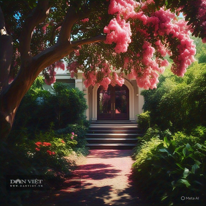 Cây tường vi (tên tiếng Anh là Crepe Mytle, tên khoa học là Rosa multiflora, hoặc Lagerstroemia indica Linn) mang đến những bông hoa mùa hè sặc sỡ, kéo dài sang tận mùa thu.