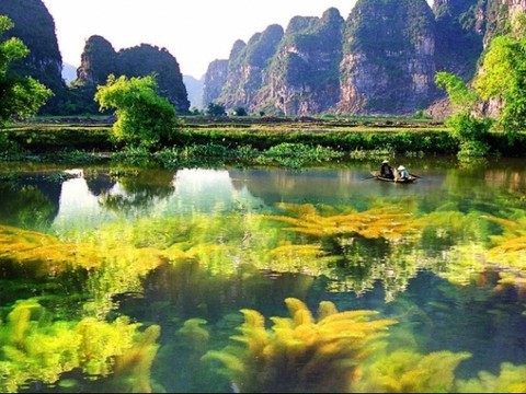 Nhiều người có thói quen xem bói ngày tháng sinh Âm lịch để chiêm nghiệm trong cuộc sống. Bên cạnh con giáp thì ngày tháng sinh Âm lịch ảnh hưởng không nhỏ đến tính cách và cuộc sống của mỗi người.