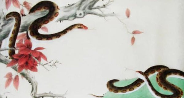Tuổi Tỵ. Những người tuổi Tỵ có tính cách rắn rỏi, mạnh mẽ, biết tính toán, ăn nói khéo léo.