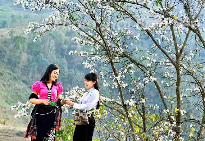 Điện Biên là tỉnh nổi tiếng với Lễ hội Hoa ban của người Thái, còn được gọi là lễ hội Xên Mường. Được tổ chức lần đầu tiên vào năm 2014 nhân dịp Kỷ niệm 60 năm Chiến thắng Điện Biên Phủ, đến nay Lễ hội Hoa ban đã trở thành điểm nhấn trong hoạt động du lịch hàng năm của tỉnh Điện Biên. Vào những ngày diễn ra lễ hội, du khách không chỉ được tham quan quần thể di tích Điện Biên Phủ mà còn có cơ hội trải nghiệm, thưởng thức nét đẹp vùng cao, khám phá sắc màu Tây Bắc trong không gian đậm đà bản sắc dân tộc. Ảnh: Baodantoc.vn.