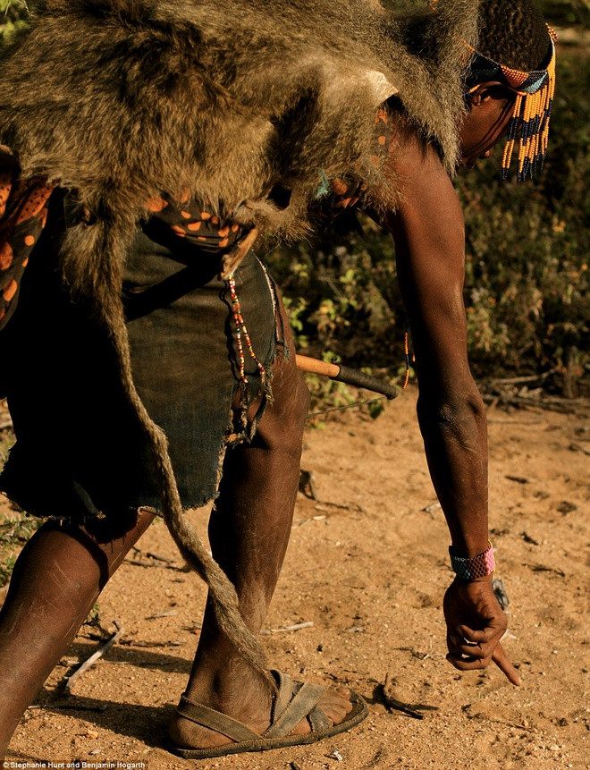 Một người Hadza chỉ cho phóng viên cách lần theo dấu vết của động vật. Đây là bộ tộc lạ lùng nhất thế giới bởi họ không có thần linh, tộc trưởng, không sở hữu tài sản riêng và quan hệ quần hôn. Họ không tham gia vào các cuộc xung đột và cũng chưa từng chịu các bệnh truyền nhiễm hay lâm vào cảnh thiếu ăn. Chế độ ăn uống của người Hadza khá đơn giản với các loài chim, khỉ đầu chó, linh dương hay trâu do chính họ thu được sau mỗi chuyến đi săn.