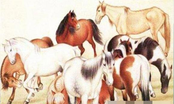 Tuổi Ngọ: Những người bạn sinh năm Ngọ sẽ gặp nhiều may mắn và tiền bạc bắt đầu từ ngày 29/10. Nguyên nhân chính là vận may tài chính và sự nghiệp của họ tiếp tục được cải thiện, hiện tượng bận rộn và không hiệu quả có thể chấm dứt.