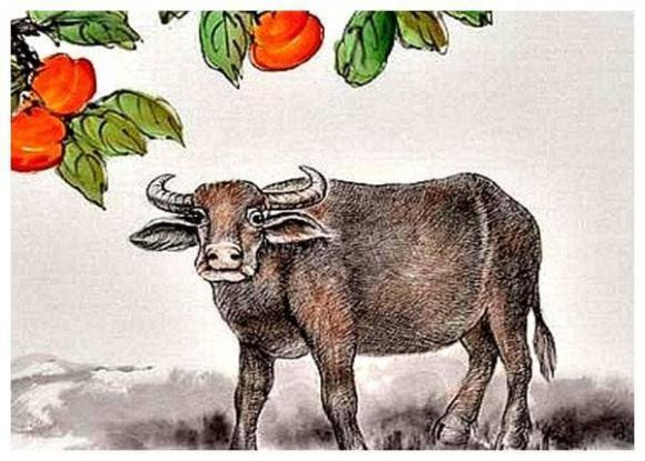 Tuổi Sửu. Sửu là con giáp hiền lành, can trường và dám dấn thân.