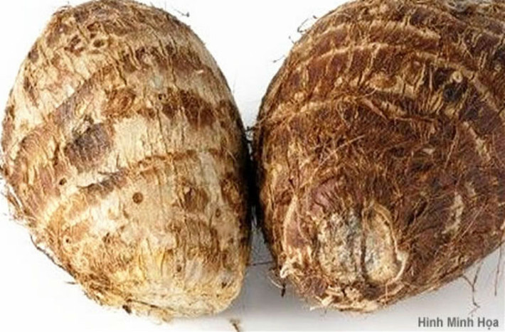Protein dồi dào trong khoai môn có tác dụng trong việc phát triển xương cơ và các cơ quan nội tạng. Khoai môn nấu canh hay nấu cháo với ngô sẽ càng thơm ngon, bổ dưỡng.