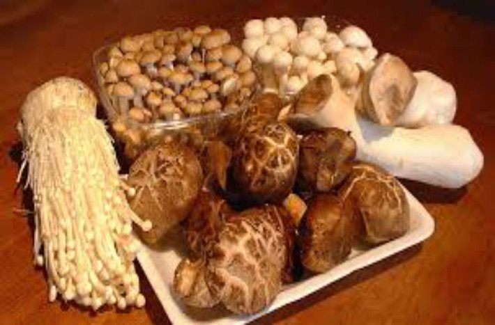 Nấm: Dinh dưỡng phong phú, chứa các axit amin thiết yếu, vitamin và khoáng chất, giàu Selenium và vitamin D, có thể nâng cao khả năng miễn dịch của con người, có lợi trong phòng ngừa ung thư dạ dày và ung thư thực quản.