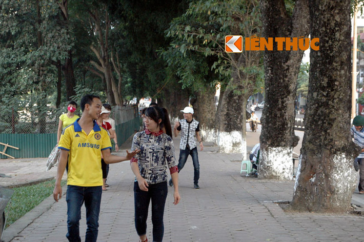 ...Giới trẻ Hà thành thường thích đi bộ và trò chuyện, vui đùa dưới bóng mát của hàng cây.