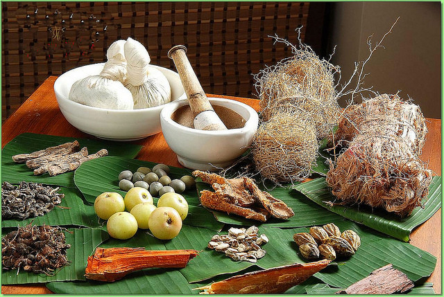 Ayurveda - Khoa học của sự Trường Sinh. Ayurveda là hệ thống cơ sở của y học Ấn Độ. Ayurveda theo nghĩa đen có nghĩa là "khoa học về cuộc sống '(tuổi thọ); Ayu - cuộc sống và Veda - Tri thức. Giá trị độc đáo của Ayurveda là nó phát hiện và chữa trị từ căn nguyên gốc rễ của bệnh tật. Nó chỉ ra 6 giai đoạn bệnh phát triển (trong khi y học hiện đại chỉ phát hiện được hai giai đoạn cuối). Ayurveda áp dụng linh hoạt cho từng cá nhân tùy thuộc vào mức độ dosha (3 thể dịch điều khiển sự vận hành của cơ thể sống) hay cơ địa của họ chứ không tính đến yếu tố di truyền.