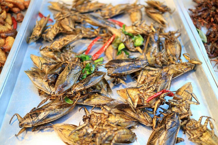 Maeng Da Na (Thái Lan): Món ăn vặt từ bọ này thường xuất hiện nhiều ở các nước Đông Nam Á, đặc biệt là Thái Lan. Món ăn có tên tiếng Thái là Maeng Da Na. Trước khi chế biến, người ta đem sơ chế bọ bằng cách luộc qua. Bọ được tẩm ướp gia vị đậm đà và chiên giòn ngập dầu. Tuy nhiên, những ai sợ côn trùng có lẽ sẽ không dám lại gần món ăn này. Ảnh: Yolandikiwi.