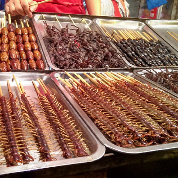Rết nướng (Trung Quốc): Ở Trung Quốc có rất nhiều chợ đêm với các sạp bày bán đồ ăn chế biến từ côn trùng. Món rết xiên nướng không khỏi khiến du khách sợ hãi khi nhìn thấy. Những con rết sống màu đỏ au, nhiều chân, được xiên thẳng vào từng que tre, sau đó người ta đem nướng hoặc chiên giòn. Nhiều người cho rằng món ăn này có vị giống vỏ tôm. Ảnh: Gardenhose.